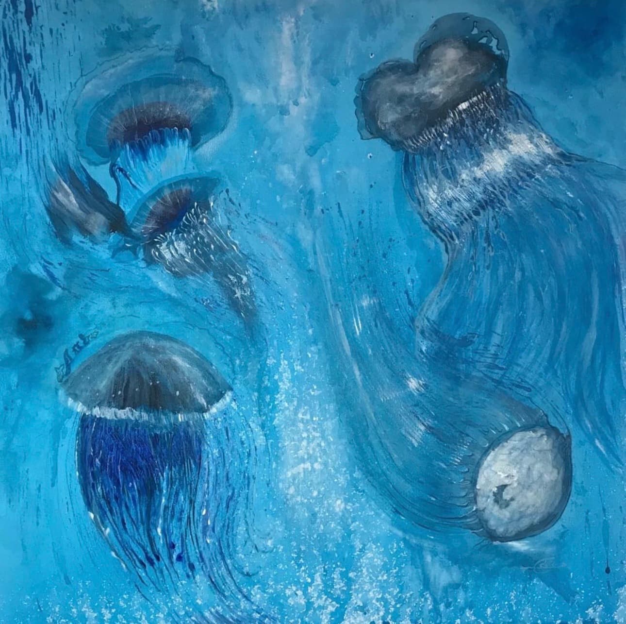 Luz 8
