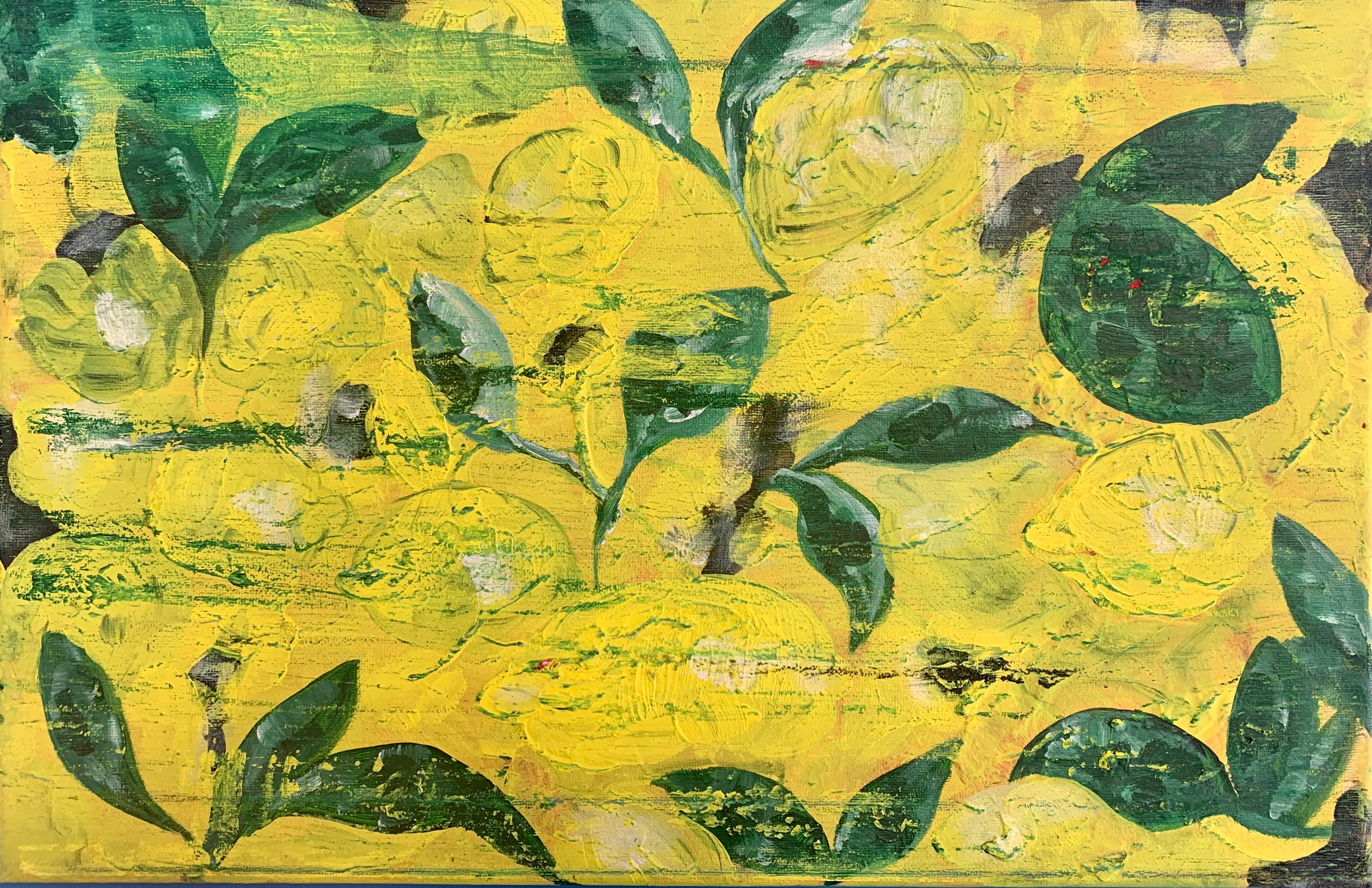 Flores 6